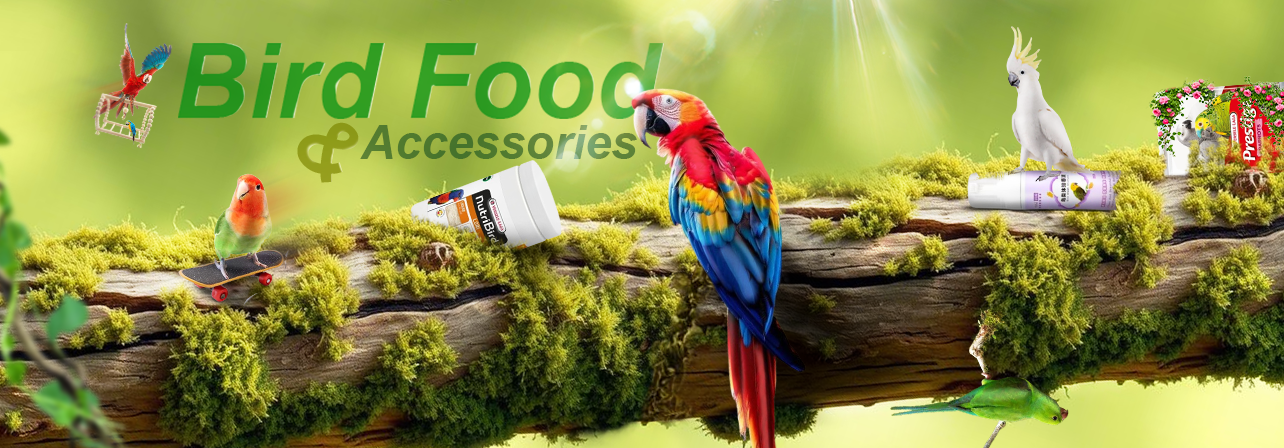 Bird Food & Accessories