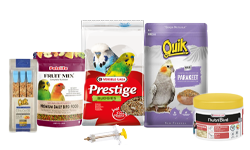 Bird Food | Feeding Kit