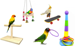 Bird Toy & Cage Accessories