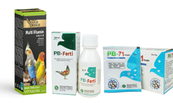 Bird Vitamin, Supplement & Medicine
