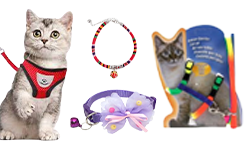 Cat Coller & Harnesses