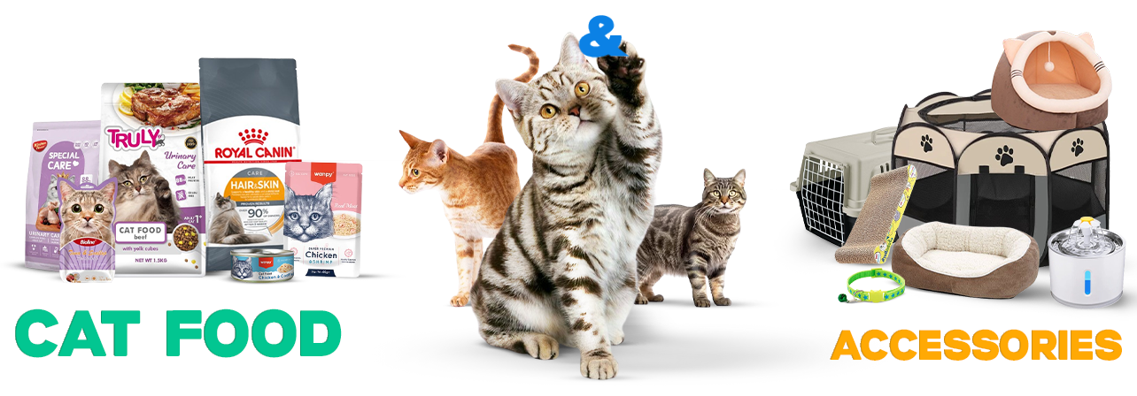 Cat Food And Accessories