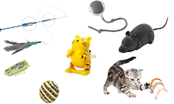 Cat Toys