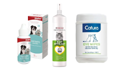 Eye, Ear & Special Care