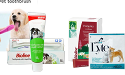 Pet Dental Care | Probiotics