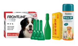 Pet Flea & Tick Management