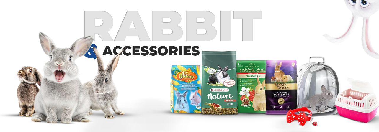 Rabbit | Small Pets