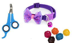 Rabbit Toy & Accessories