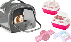 Small Pet Food & Accessories
