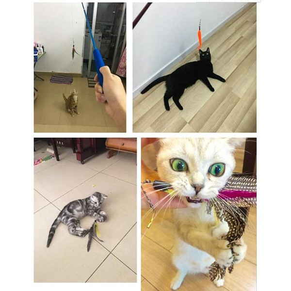 Interactive Feather Toy Set - Activity Toys for Kittens - Wand to Exercise Cats - Stick Toy for Indoor Cats (1 Retractable Stick + 1 Feather)
