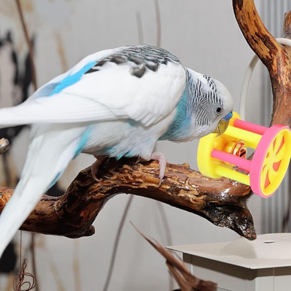 Parakeet Chew Toy, Bird toy Parakeet Chew Ball