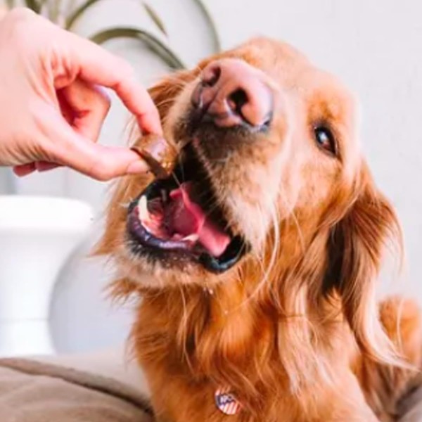 Bravecto Chewable Tablets for Dog (20-40kg) - (Treatment of Tick and Flea Infestations on Dogs)