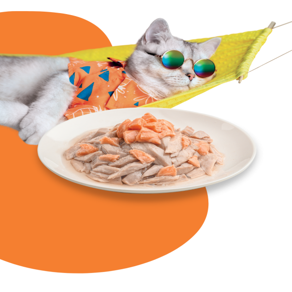 Moochie Meaty Tuna & Salmon Recipe in Jelly For Adult Cats 70g