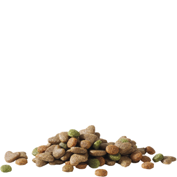 Happy Life Junior With Chicken Dry Dog Food 10kg