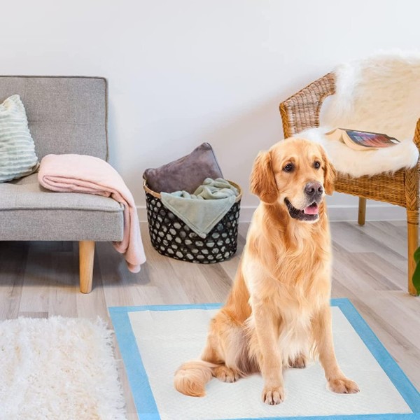 Disposable Absorbent Quick Drying, Leak Proof Pet Training Pads For Pets 60x60