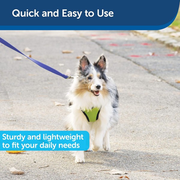 Nylon Dog Leash – Strong, Durable, Traditional Style Leash