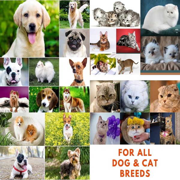 Pet Lyte 15g Dogs Cats Oral Electrolytes Vitamins MINERAL SALT Powder Amino Acid & Prebiotic Liver Flavour