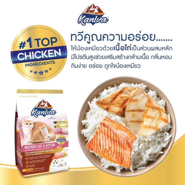 Kaniva Dry Cat Food Mother Cat & kitten - Chicken, Salmon & Rice For All Life Stages Cats | Dry Cat Food | Kitten 3 Week To 1 Year