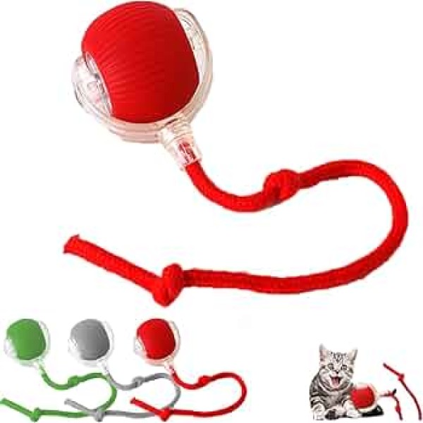 Electric Self-Rolling Pet Toy Ball with Tail Rope For Cat & Small Dog | Rechargeable