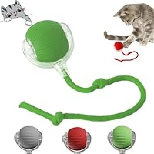 Electric Self-Rolling Pet Toy Ball with Tail Rope For Cat & Small Dog | Rechargeable