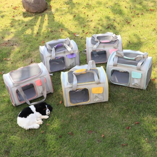 Pet Carrier Easy-to-Clean Cat Carrier Portable Large Capacity For Cats & Small Dogs