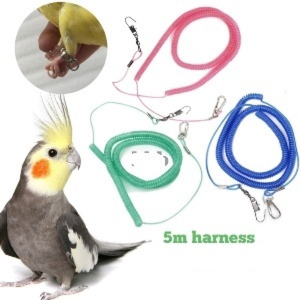Bird Spring Harness Lash For All Bird