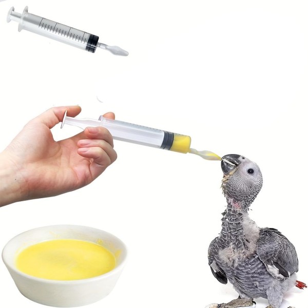 20ml Hand Feeding Syringe Spoon Baby Bird Feeding