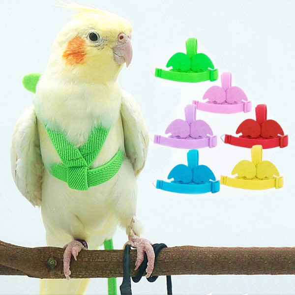 Outdoor Training Flying Toy Elastic Light Weight Parrot Bird Harness