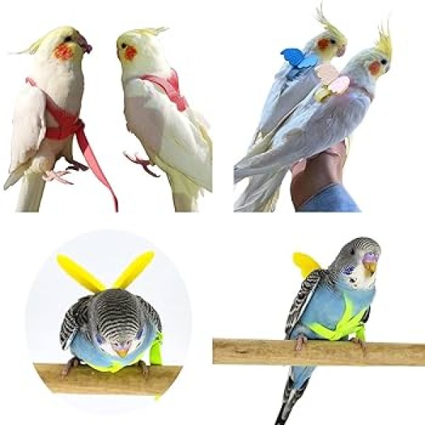 Outdoor Training Flying Toy Elastic Light Weight Parrot Bird Harness