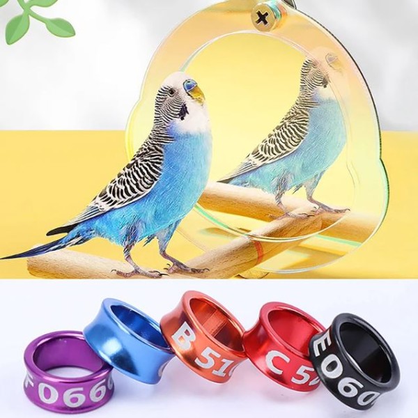 Bugerigar Bird Foot Ring Close Random Colour Tag 4.5mm (2pcs)