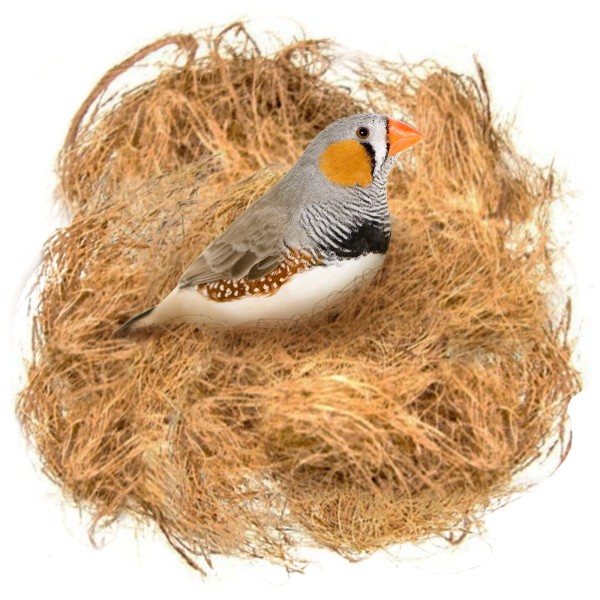 Birds Nesting Material Coconut Fiber