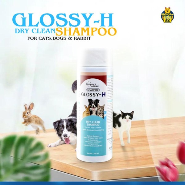 Glossy-H Dry Clean Shampoo 100Gm | Glossy-H Pet Shampoo