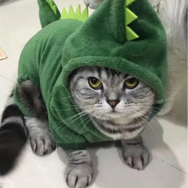 Soft Dinosaur Dragon Costume Dress for Cats and Small Dogs
