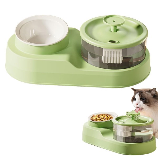 2 in 1 Cat Feeding Bowl with Electric Water Fountain