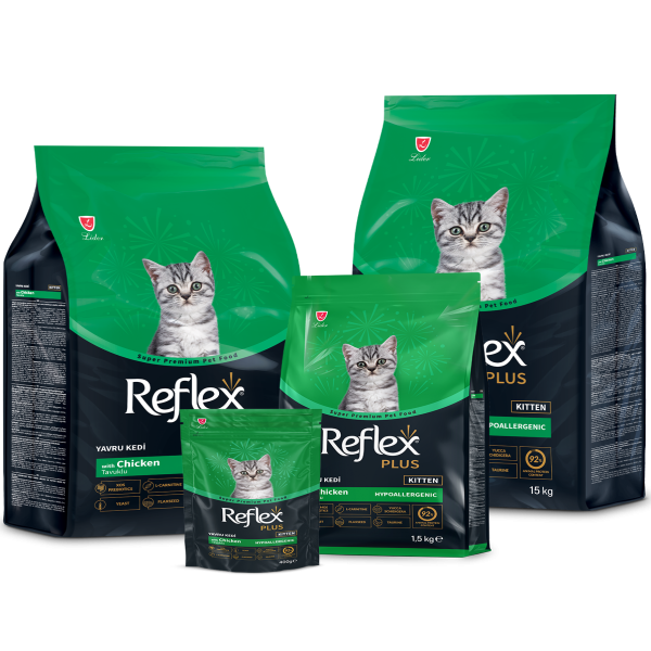 Reflex Plus Kitten Dry Cat Food Chicken | Dry Cat Food