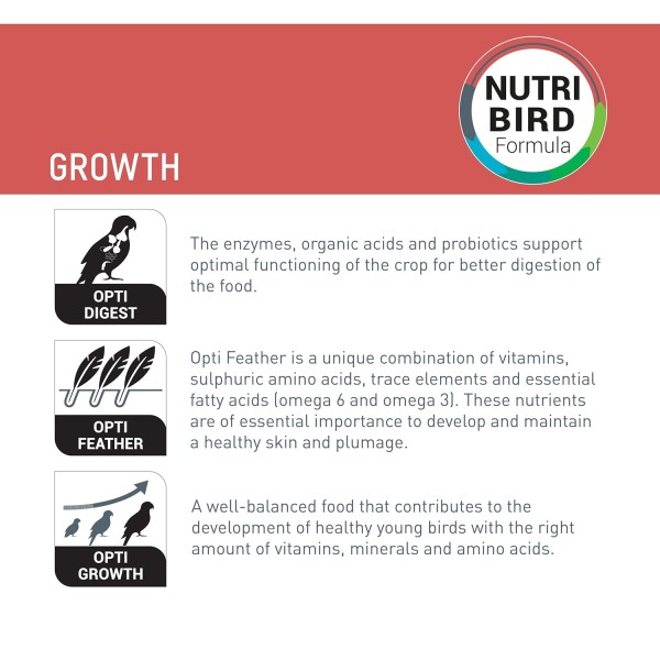 Versele-Laga NutriBird A19 Handfeeding Formula for Baby Birds 800gm