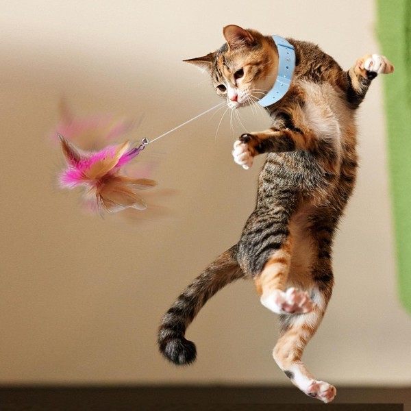 Cat Toy Feather Stick Included 2-in-1 Cat Playing