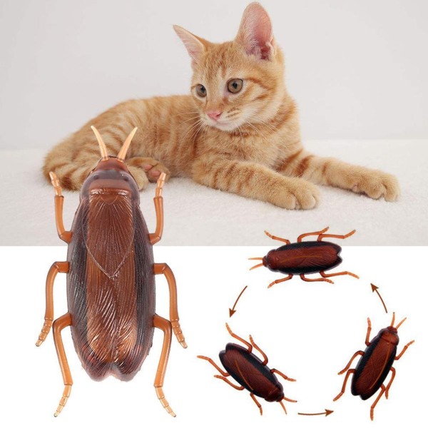 Cat Toy Cockroach (2pcs)