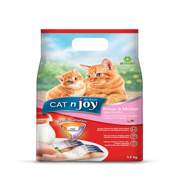 CAT n Joy Kitten and Mother dry Cat Food Ocean Fish Chicken and Milk Flavour