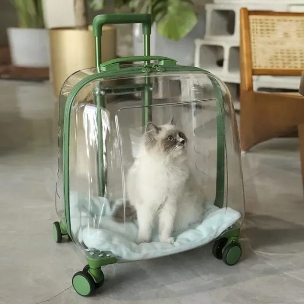 Transparent Cat Trolley Case Dog Hiking Crate Small Animals Pet Carrier