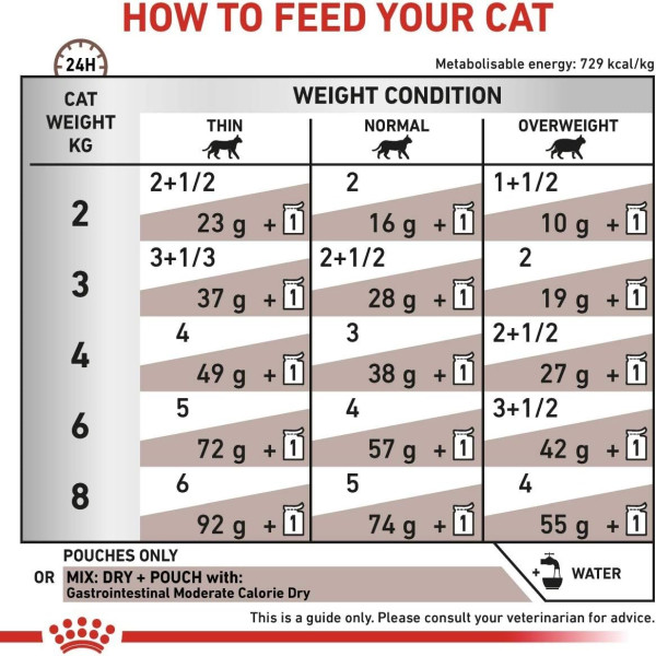 Royal Canin Veterinary Dry Cat Food Gastrointestinal 2Kg