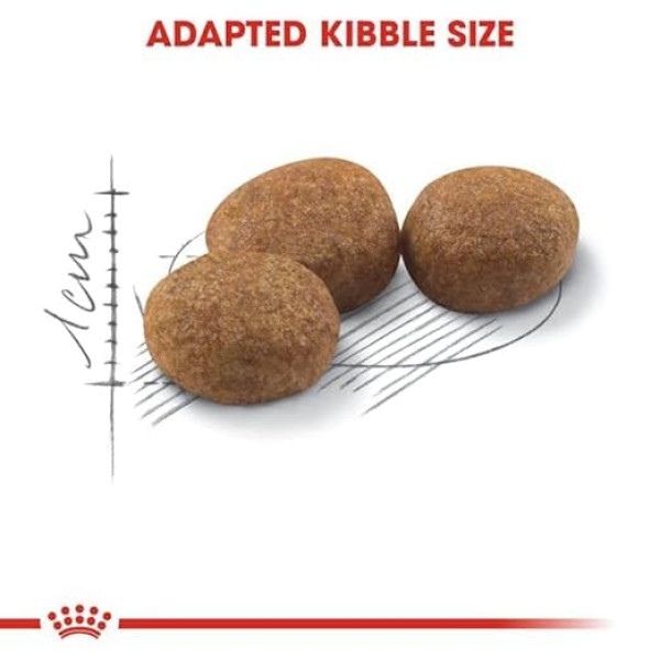 Royal Canin Sterilised 37 Regular Adult Dry Cat Food 2kg