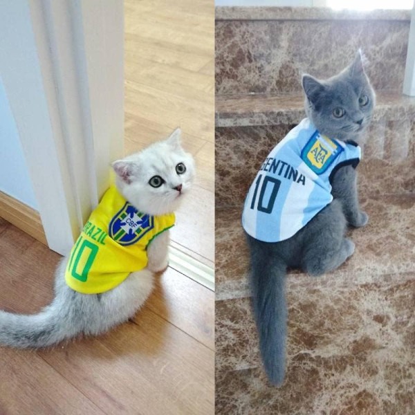 Cat & Dog World Cup Shirts Jersey Cat Clothes Thin Argentina& Brazil No.10 Jersey